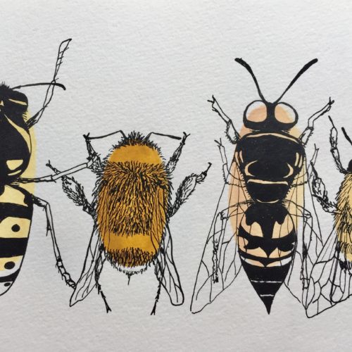 Illustrations of stinging insects like bees, wasps and bumble bees.