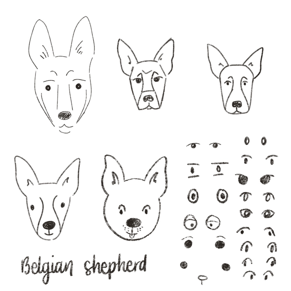 Sketches for a Belgian shepherd GIF sticker for Amanda Mary Creative.